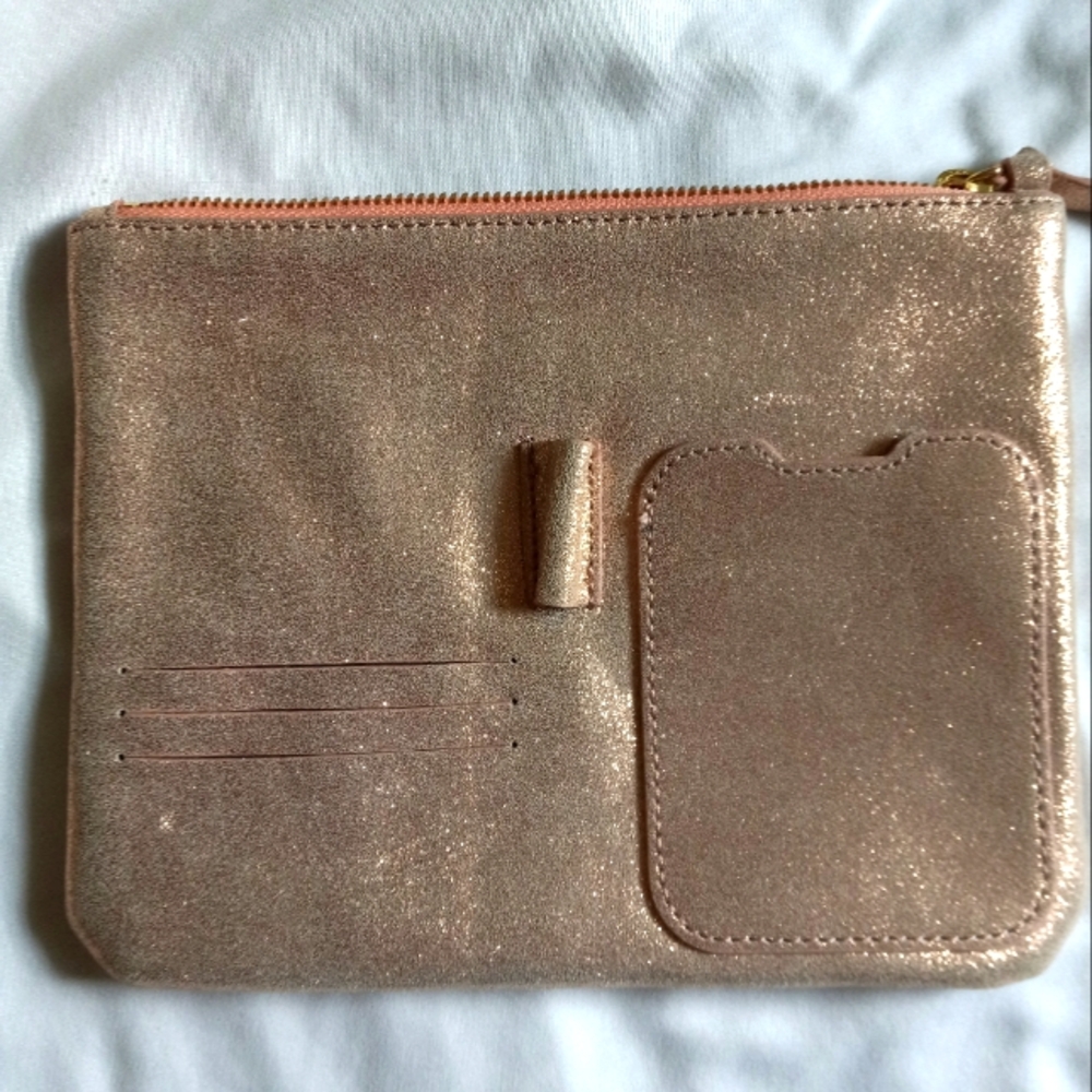 Anthropologie clutch and organizer